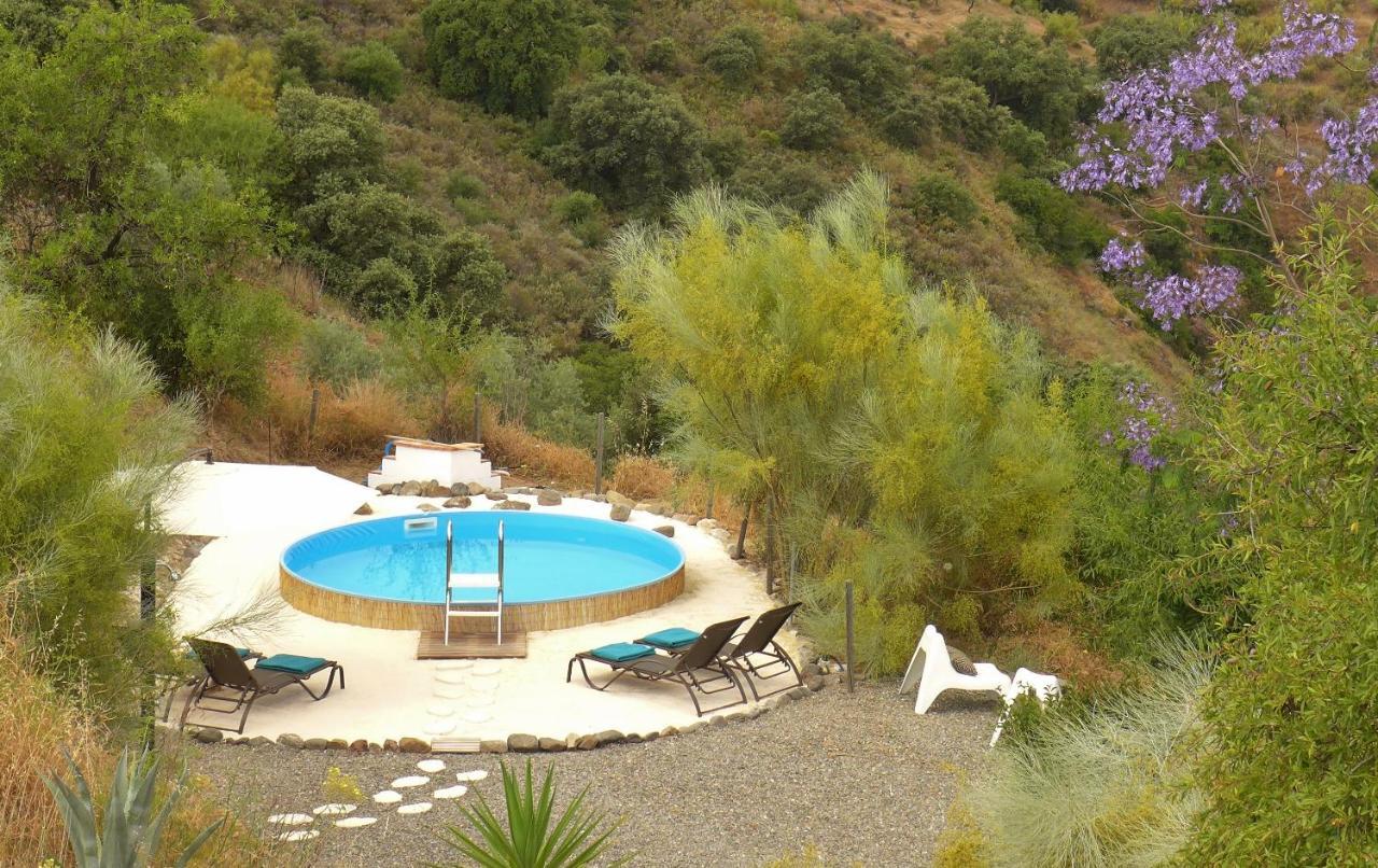 Corazon Andaluz Guesthouse Coín Exteriör bild