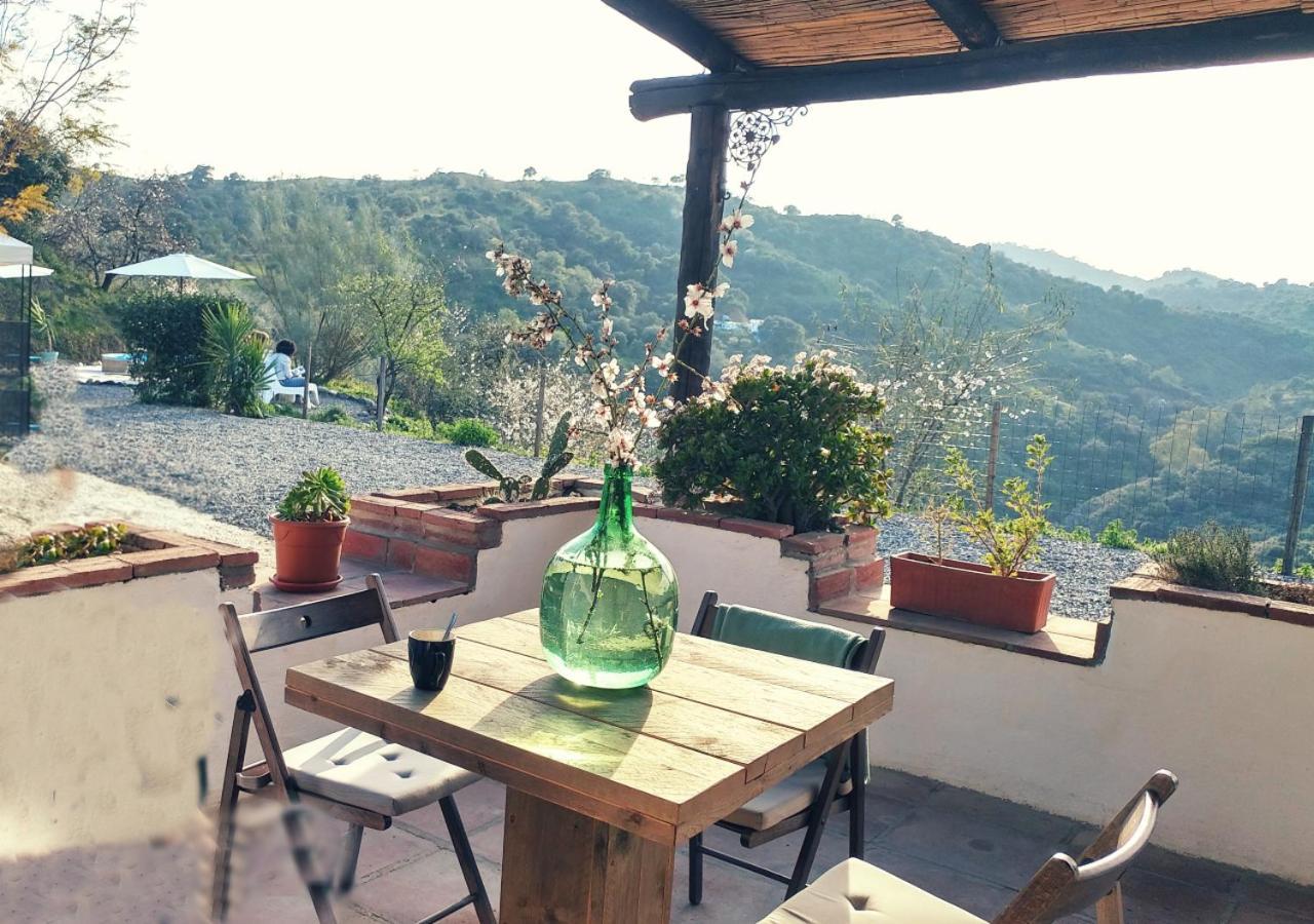 Corazon Andaluz Guesthouse Coín Exteriör bild